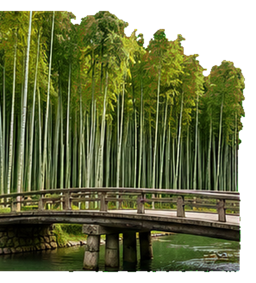 Bamboo grove and bridge