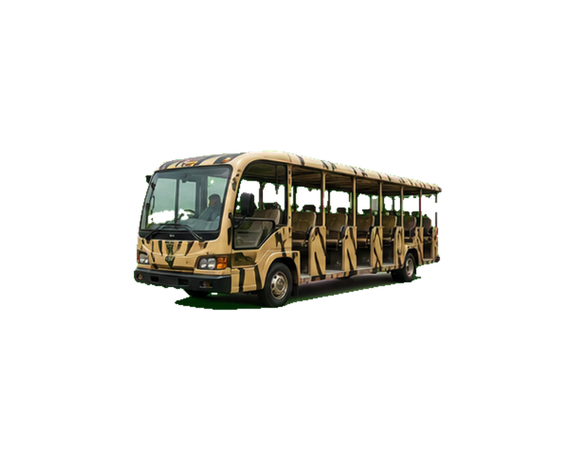 Night safari tram