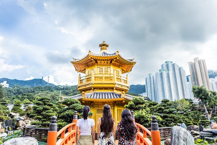 Live Kowloon: Group Tour