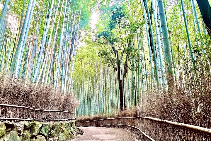 Bamboo Grove Temple and Garden Views Tour